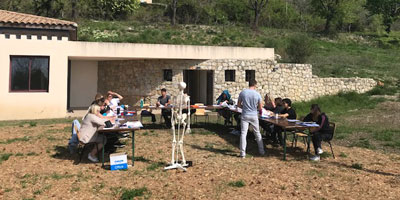 Cours anatomie, physiologie et aromathérapie